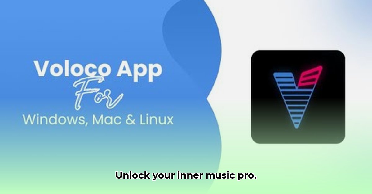 www-voloco-app-com-download